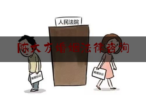 陈大方婚姻法律咨询