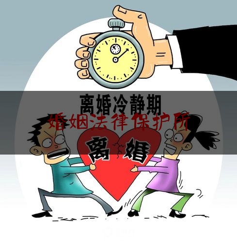 婚姻法律保护所（婚姻法保护什么）