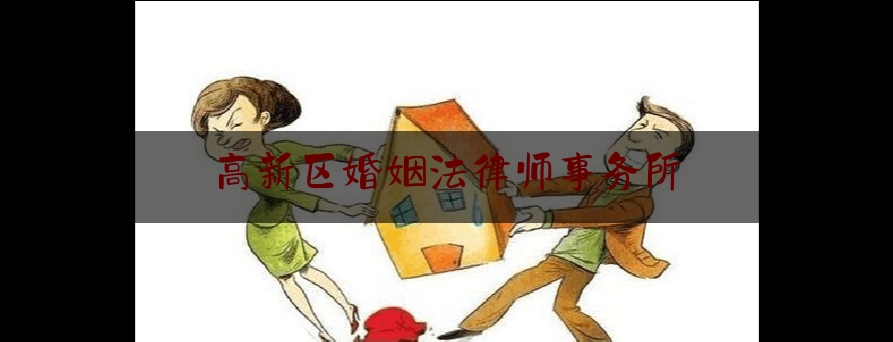 高新区婚姻法律师事务所