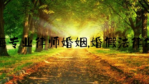 上海专业律师婚姻,婚假法律依据