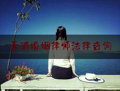 青浦婚姻律师法律咨询