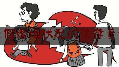 婚姻状况的法律责任