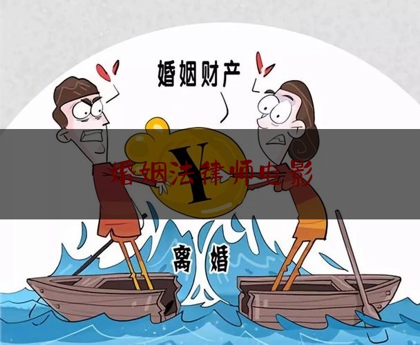 婚姻法律师***（婚姻法律故事在线阅读）