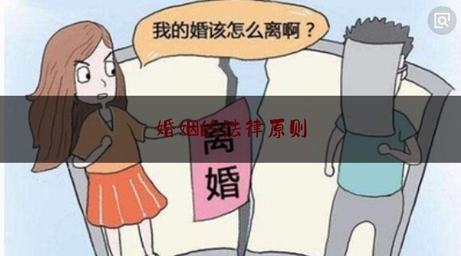 婚姻的法律原则（婚姻的法律原则是什么）