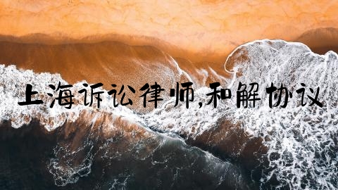 上海诉讼律师,和解协议