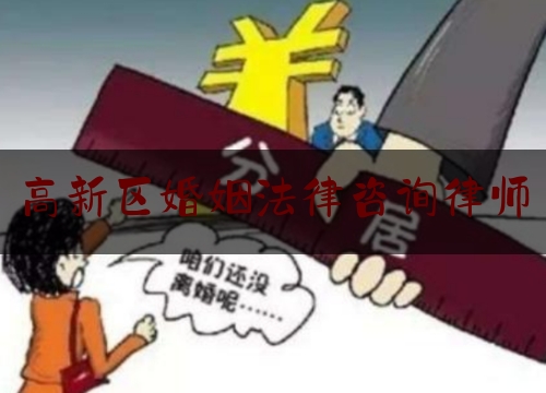 高新区婚姻法律咨询律师