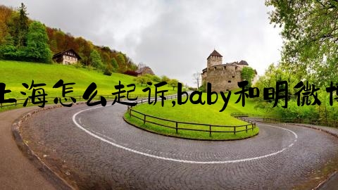 上海怎么起诉,baby和明微博