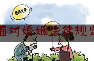 面对婚姻法律规定