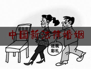 中国新法律婚姻（中国法律婚姻法条例）