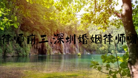 上海律师前三,深圳婚姻律师哪家好