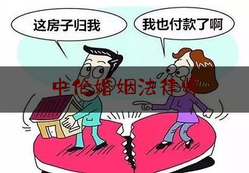 中伦婚姻法律师（中伦律师 主任）