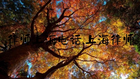 律师上海电话,上海律师