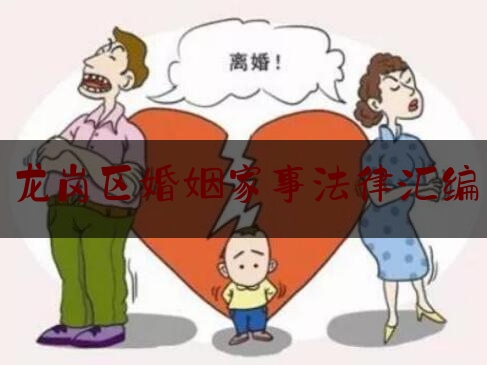 龙岗区婚姻家事法律汇编