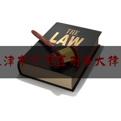 天津市宁河区刑事大律师（天津刑事律师电话咨询）