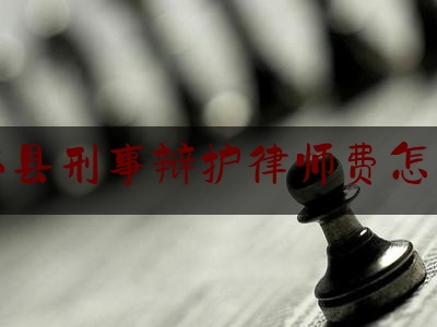 沂水县刑事辩护律师费怎么算（刑事案件辩护律师价格）