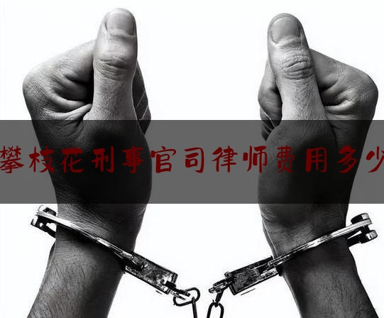 攀枝花刑事官司律师费用多少（攀枝花律师在线咨询）