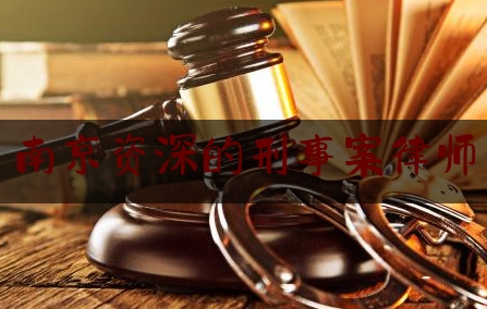 南京资深的刑事案律师