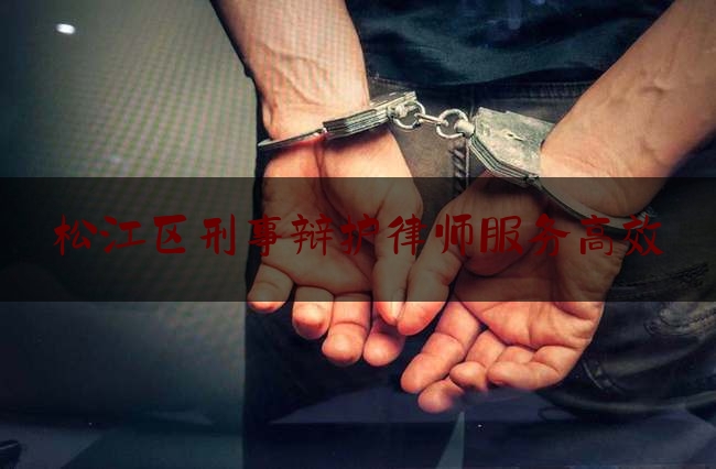 松江区刑事辩护律师服务高效（松江区刑事案件审理中心）