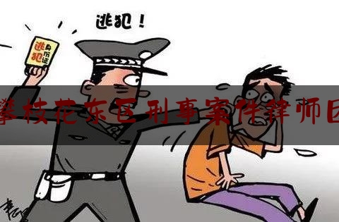 攀枝花东区刑事案件律师团（攀枝花市律师事务地址）