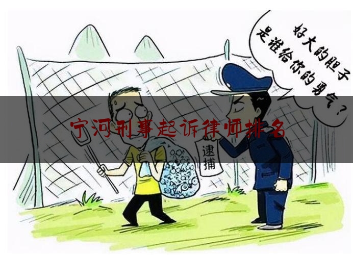 宁河刑事起诉律师排名（宁河律师事务所）