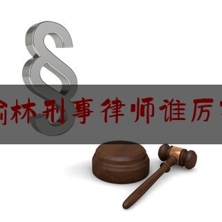 榆林刑事律师谁厉害