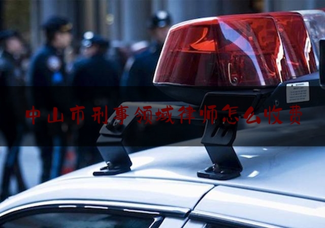 中山市刑事领域律师怎么收费（中山市刑事案件律师）