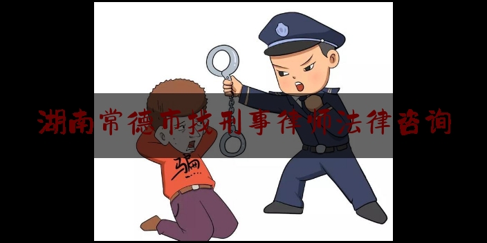 湖南常德市找刑事律师法律咨询（湖南常德市找刑事律师法律咨询多少钱）