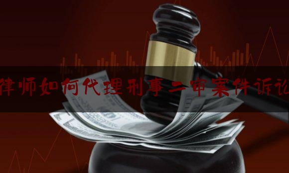 律师如何代理刑事二审案件诉讼（律师代理刑事案件流程）