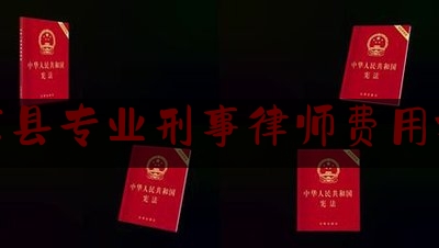 惠东县专业刑事律师费用标准（惠州刑事律师大概多少钱）