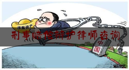 刑事赔偿辩护律师咨询（刑事赔偿诉讼）