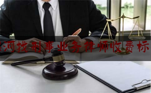 漯河找刑事业务律师收费标准（漯河找刑事业务律师收费标准表）