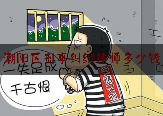 潮阳区刑事纠纷律师多少钱（刑事案件律师收费多少）