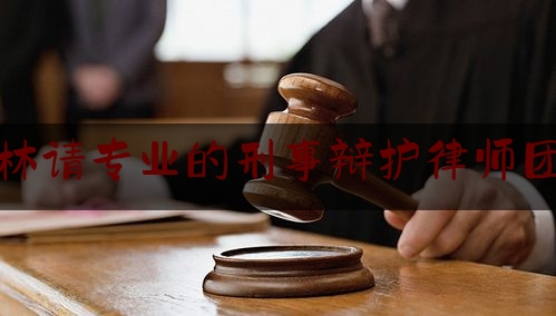 吉林请专业的刑事辩护律师团队