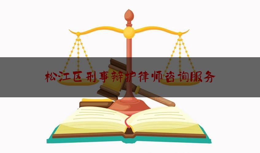 松江区刑事辩护律师咨询服务（松江区律师所）