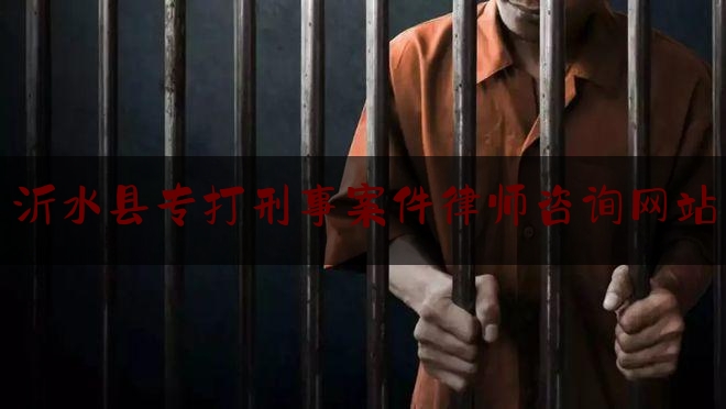 推荐看法报道:沂水县专打刑事案件律师咨询网站,虚拟女友游戏