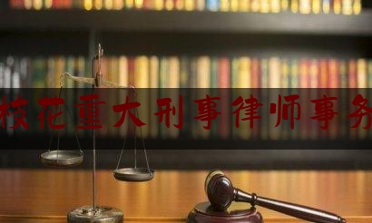 攀枝花重大刑事律师事务所（攀枝花最有名的律师）