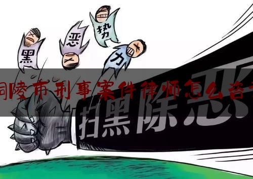 铜陵市刑事案件律师怎么咨询（网上立案不打烊 诉讼服务不打折）