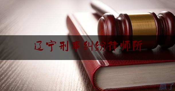 辽宁刑事纠纷律师所