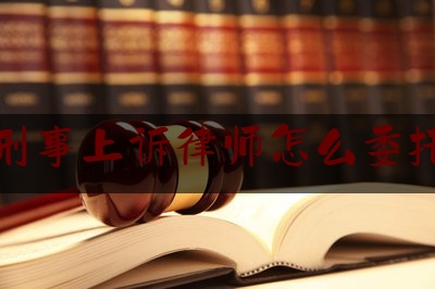 实事观点讯息:开封刑事上诉律师怎么委托律师,社区扫黑除恶专项斗争工作推进会