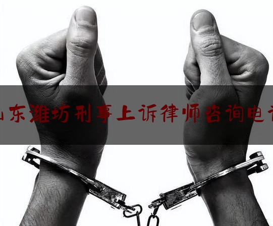 分享看法速递:山东潍坊刑事上诉律师咨询电话,山东教授工资