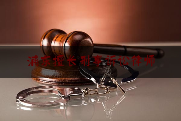 浦东擅长刑事诉讼律师（上海浦东刑事律师事务所）