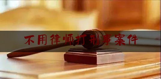 不用律师打刑事案件