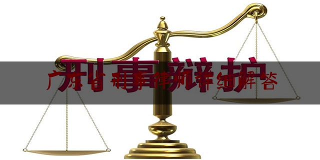 广东省刑事律师详细解答（广东省刑事辩护律师库）