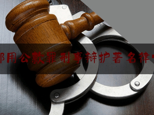 挪用公款罪刑事辩护著名律师（挪用公款罪例子）