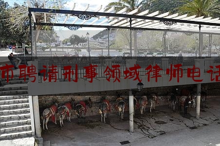 实事百科报道:福州市聘请刑事领域律师电话多少,福州市上官浩龙