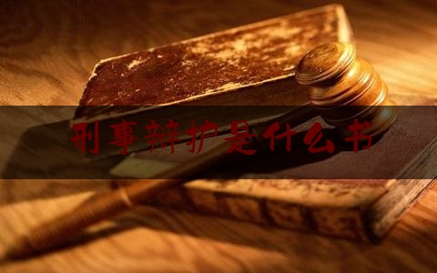 刑事辩护是什么书