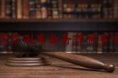 河源市刑事业务律师有哪些（河源刑事律师在线）