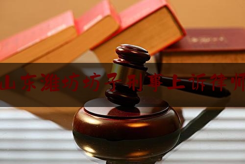 山东潍坊坊子刑事上诉律师（潍坊十佳刑事律师名单）