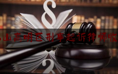 佛山***区刑事起诉律师收费（***律师事务所收费）