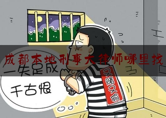 成都本地刑事大律师哪里找（成都好的刑事律师）